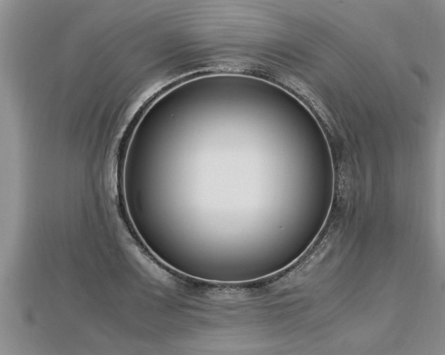 X0000112791083200908281502