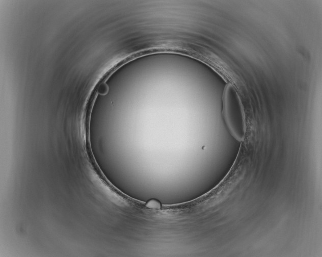 X0000112791084200908281502