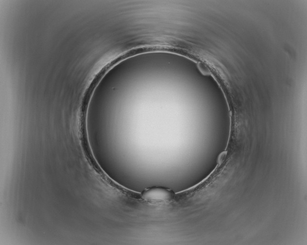 X0000112791085200908281502