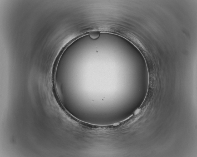 X0000112791087200908281502