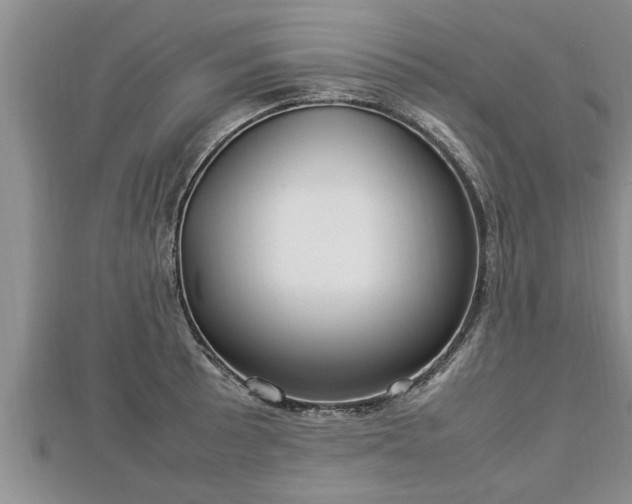 X0000112791089200908281502