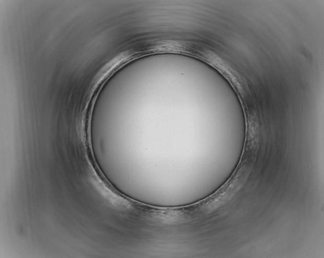 X0000112791090200908281501