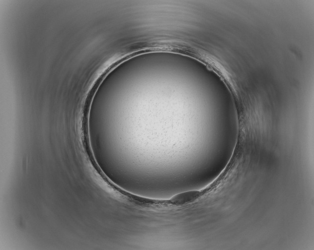 X0000112791091200908281501