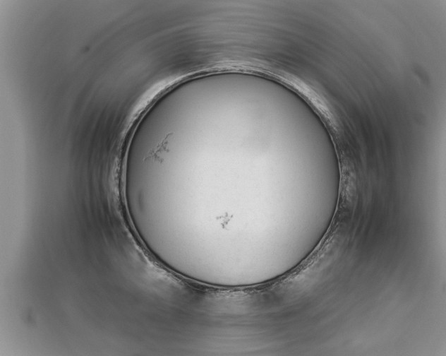 X0000112791094200908281501