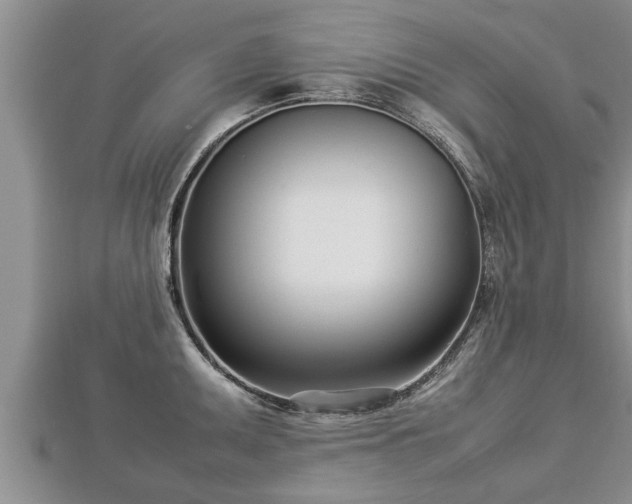 X0000112791095200908281501