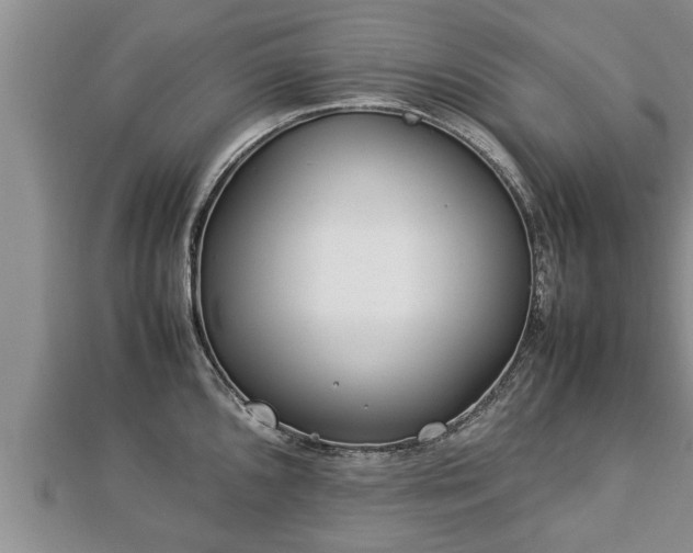 X0000112791096200908281501