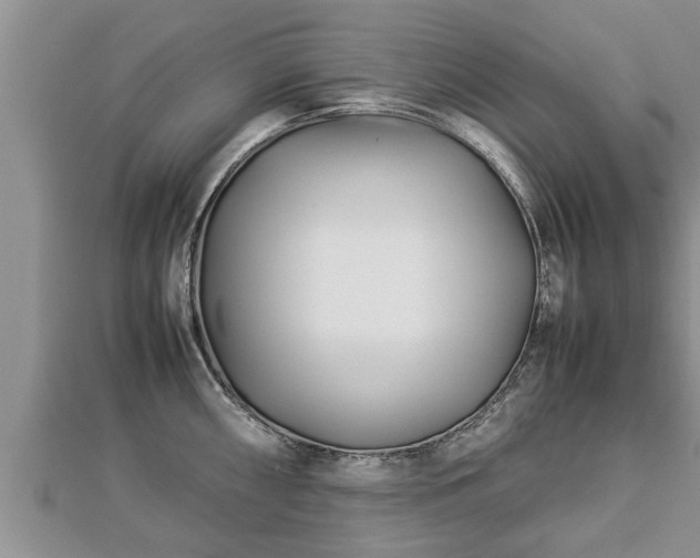 X0000112791098200908281501