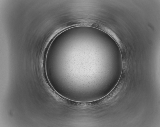 X0000112791099200908281501