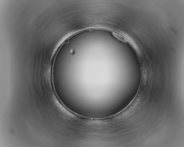 X0000112791100200908281501