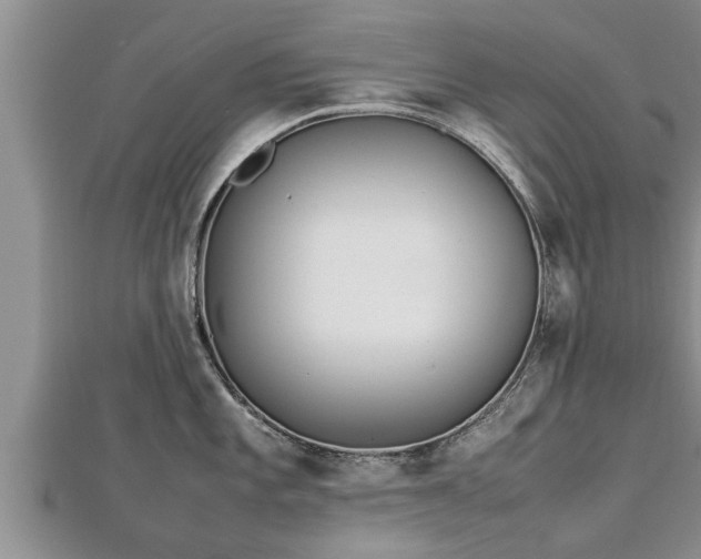 X0000112791101200908281501