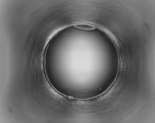 X0000112791102200908281501