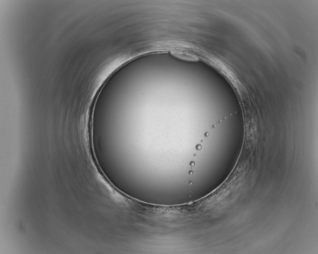 X0000112791103200908281501