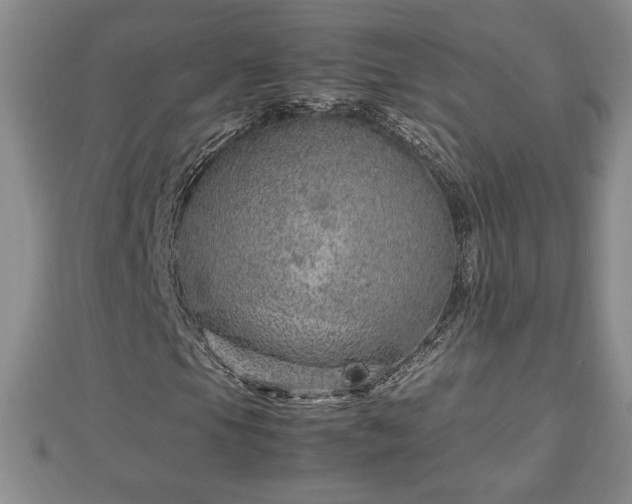 X0000112791105200908281500