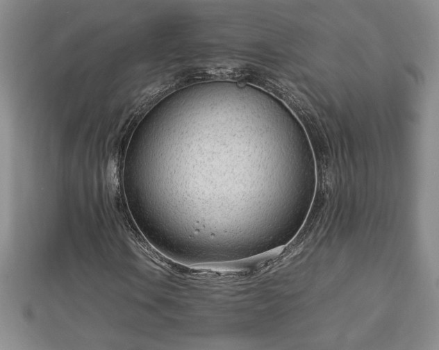 X0000112791106200908281500