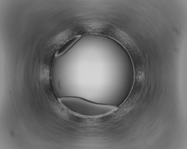 X0000112791108200908281500