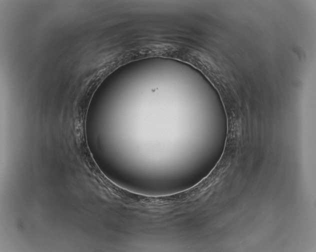 X0000112791109200908281500