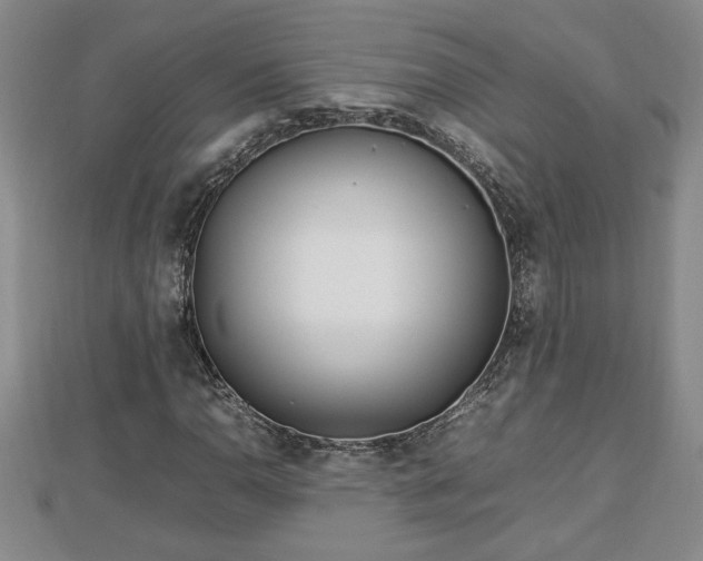 X0000112791110200908281500