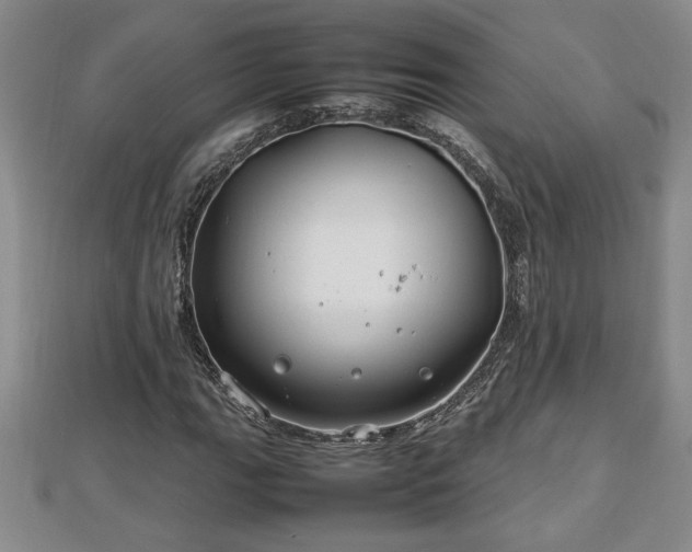 X0000112791111200908281500