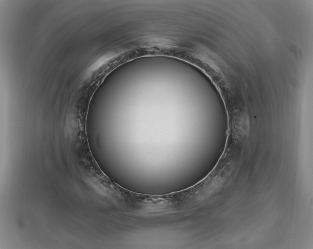 X0000112791112200908281500