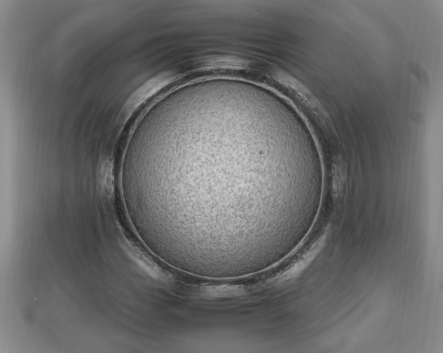 X0000112791113200908281500