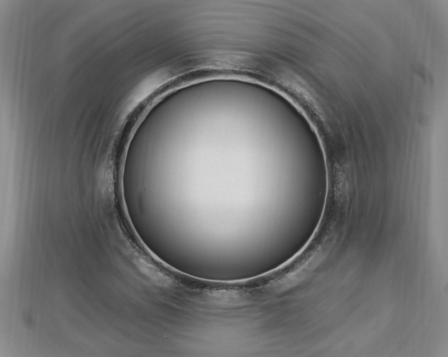 X0000112791114200908281501