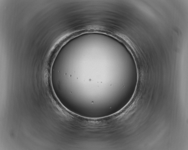 X0000112791115200908281501