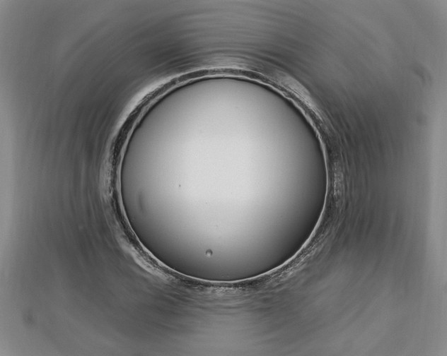 X0000112791116200908281501