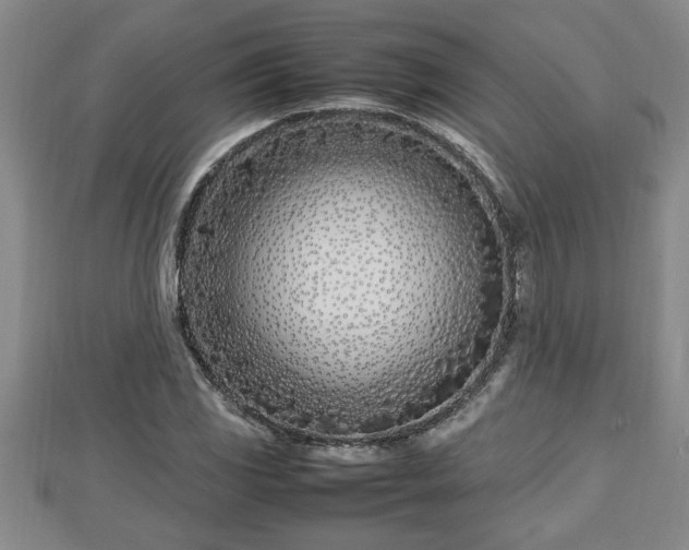 X0000112791117200908281501