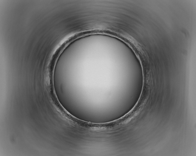 X0000112791118200908281501