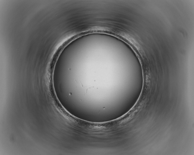 X0000112791119200908281501