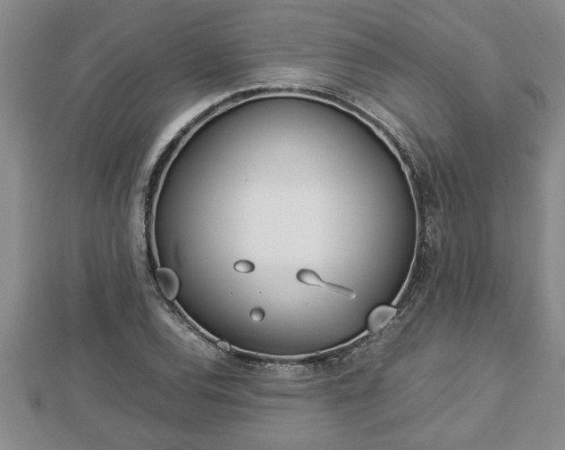 X0000112791120200908281501