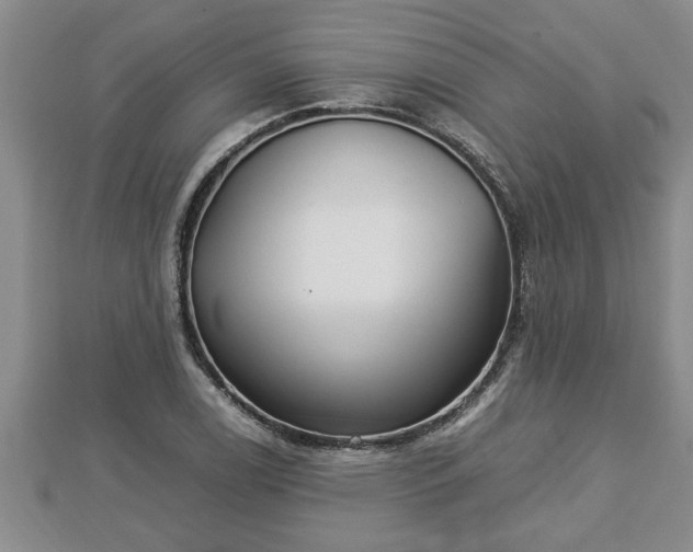 X0000112791122200908281501