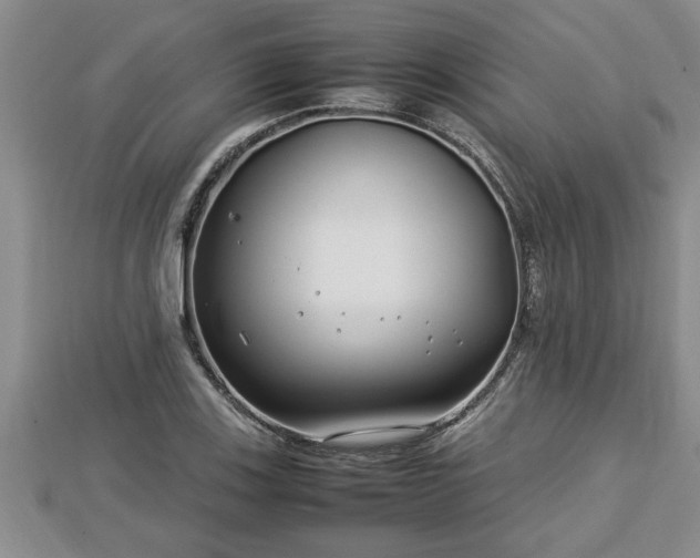 X0000112791123200908281501