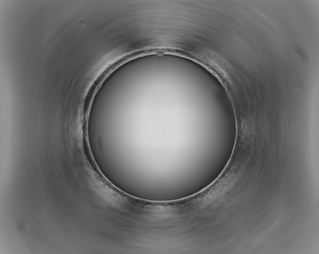 X0000112791124200908281501