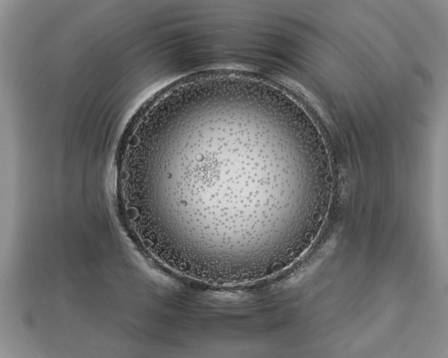 X0000112791125200908281501