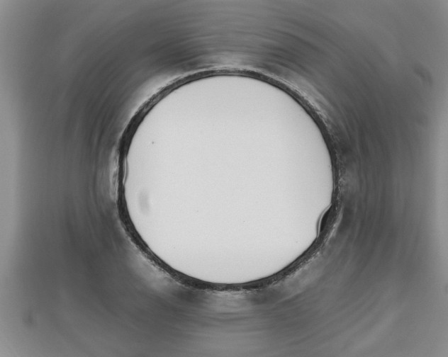 X0000112791126200908281501