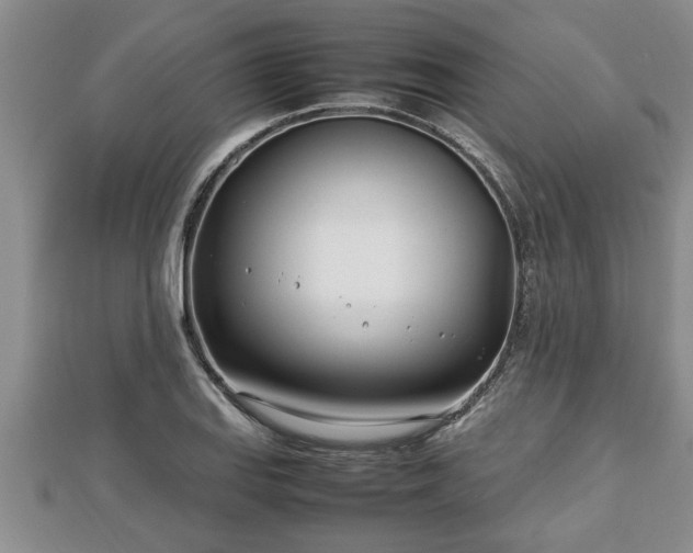 X0000112791127200908281501