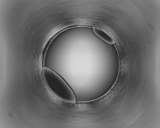 X0000112791128200908281501