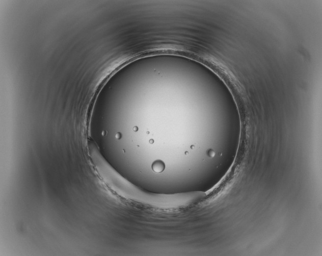 X0000112791129200908281501