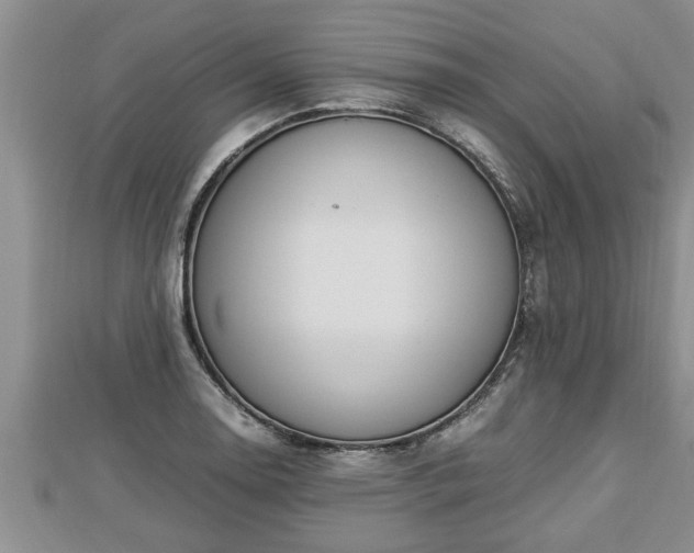 X0000112791130200908281501