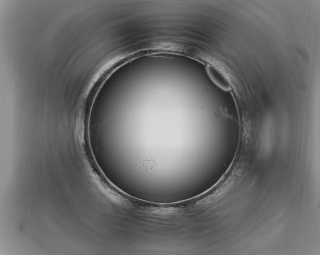 X0000112791131200908281501