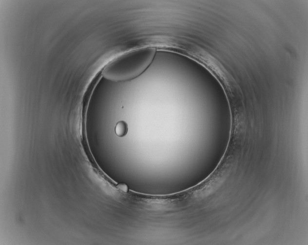 X0000112791132200908281501