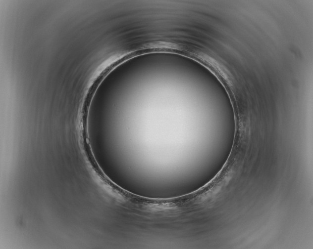 X0000112791133200908281501