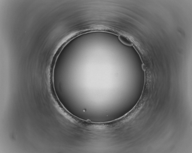 X0000112791134200908281501