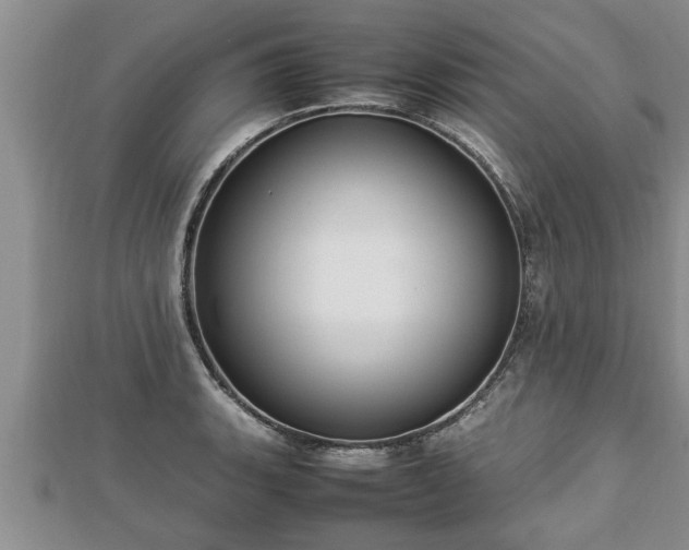 X0000112791135200908281501