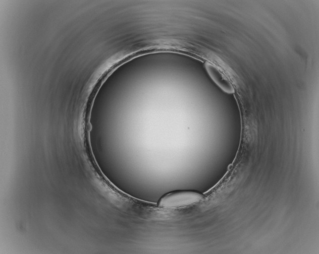 X0000112791136200908281501