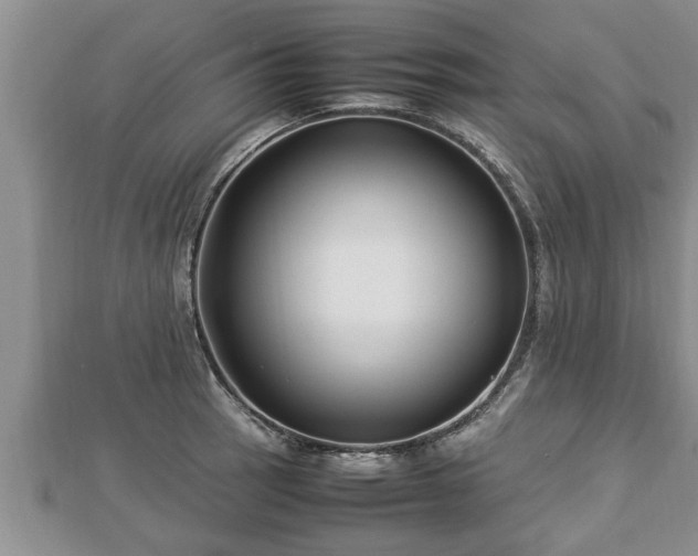 X0000112791137200908281501