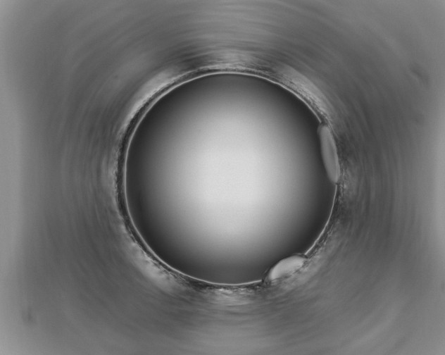 X0000112791138200908281501