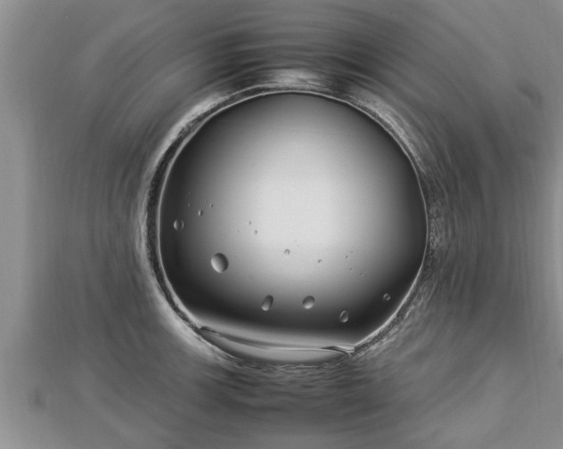 X0000112791139200908281501