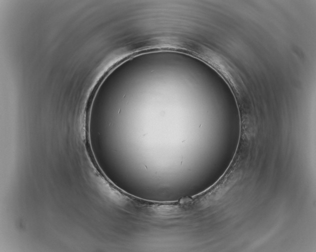 X0000112791140200908281501